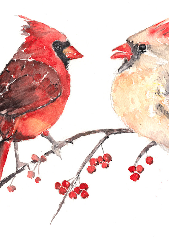 Cardinal Birds Watercolor Print | Claudia Hafner Watercolor
