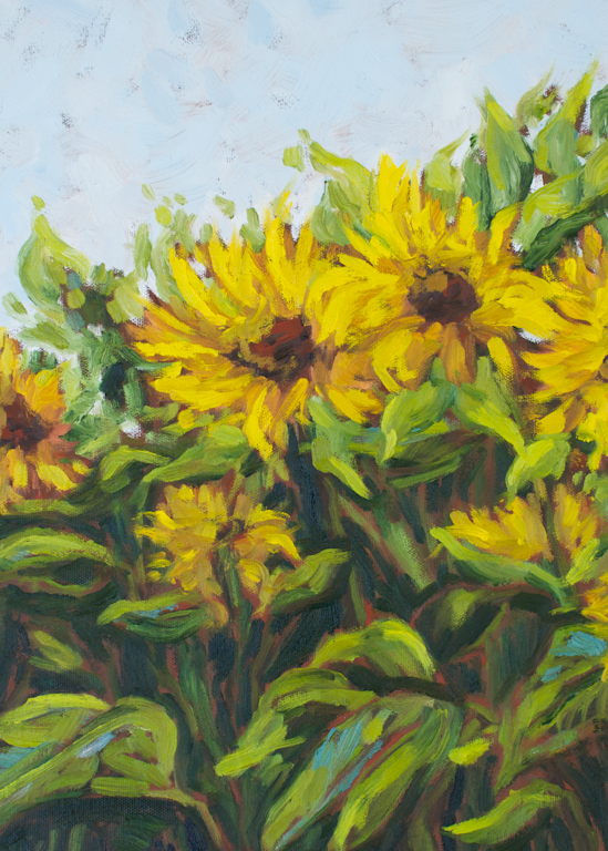 Giclee Art Print - Sunflower Field- by contemporary Impressionist April Moffatt