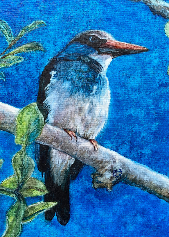 Blue Breasted Kingfisher Art | Blissful Bonita Art Studio & Gallery