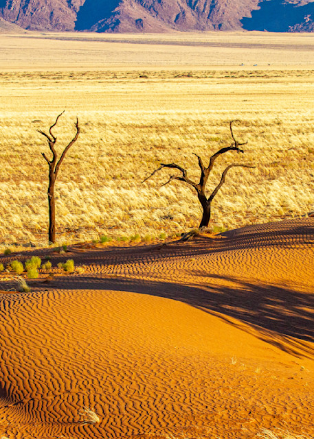 Namibia Photography Art | waynesimpson