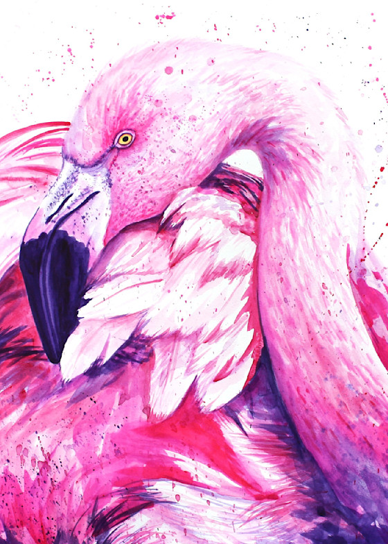 Animal Prints - Flashy Flamingo
