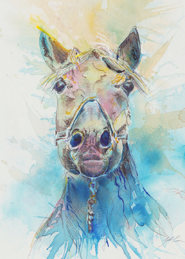 Horse Art | Jill Evans art + design