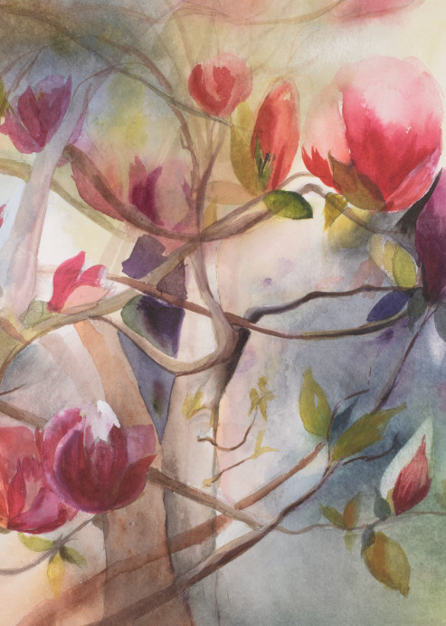 Magnolias 01 Art | patriciacherry