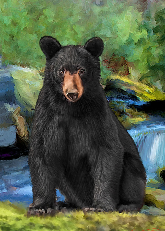 The Bear Art | Foothills Mercantile Co
