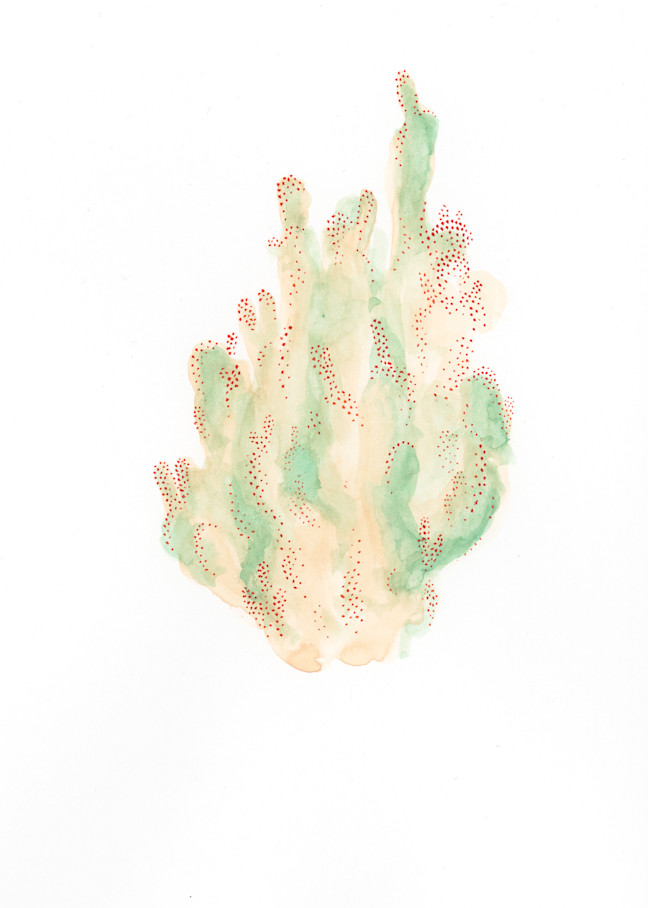 Cactus 5 Art | Megan McManus Art