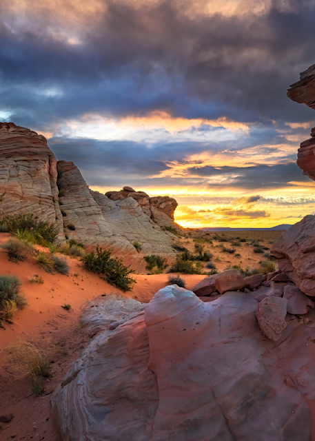 Desert Light - Southern Utah