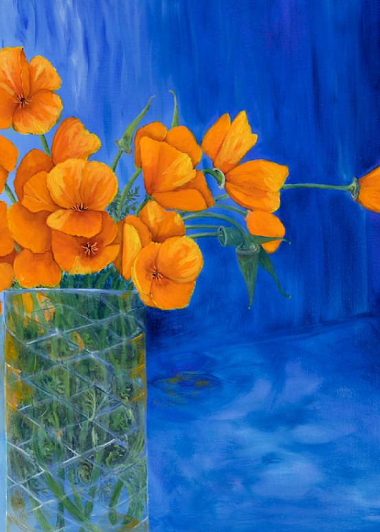 California Poppies  Art | Janice Pastor Fine Art
