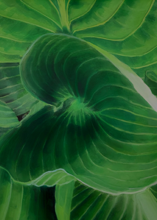 Hosta Heart Leaf Art | Juju Ishmael