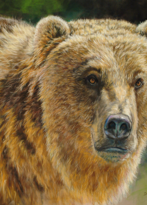 Grizzly Encounter Art |  Deb Copple - Art By Nature