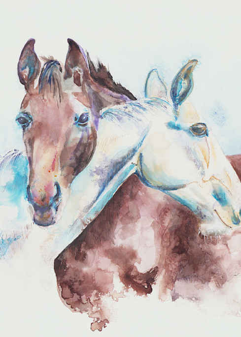 2 horses watercolor 