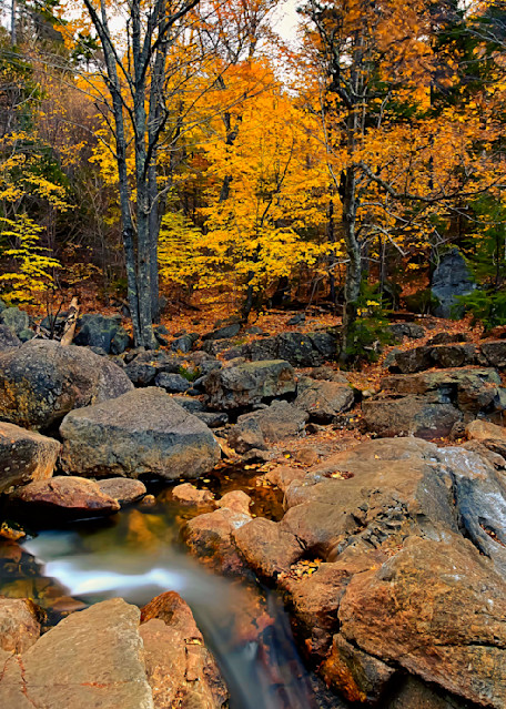 Peak Fall Color   New Hampshire Photography Art | mustafawahid