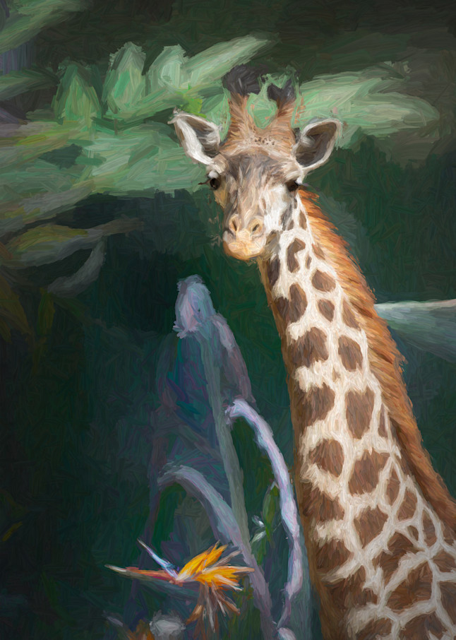 World Giraffe Day 2022 Art | Light Pixie Studio