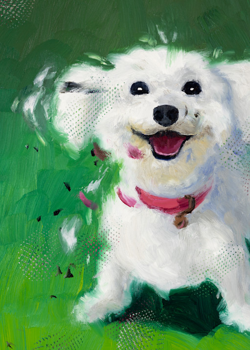20220614 Fluffy White Puppy  Art | Rich Wilkie inc