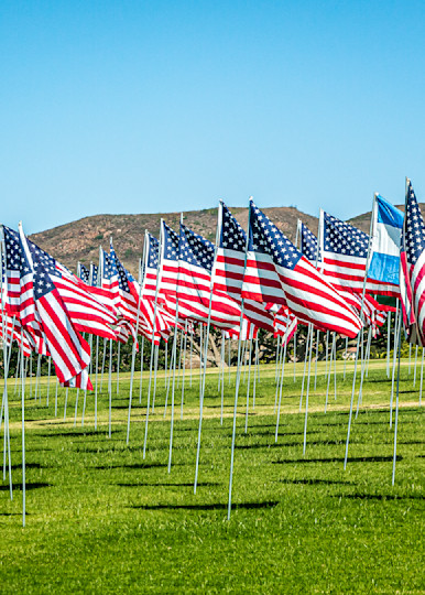 Flags of USA