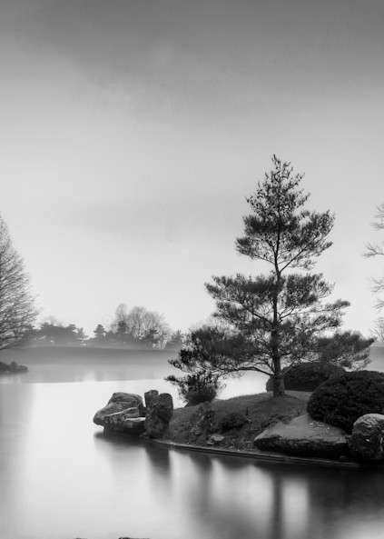 Fog On Silver Pond B W Photography Art | Lift Your Eyes Photography
