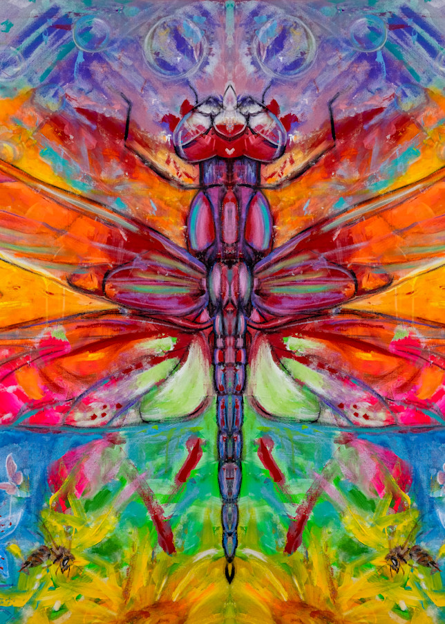Fly Dragon Fly ( Mirrored ) Art | Blac Rhino Art Group