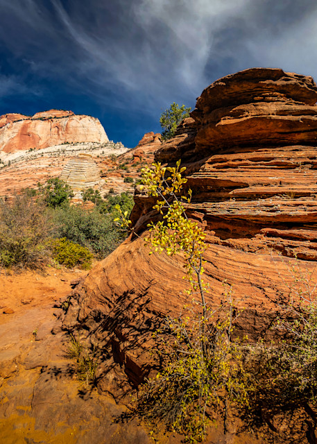 Hiking Zion Photography Art | Lift Your Eyes Photography