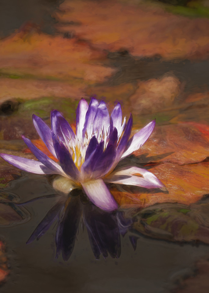 Monet's Muse  Photography Art | Sheryl's Virtual Garden