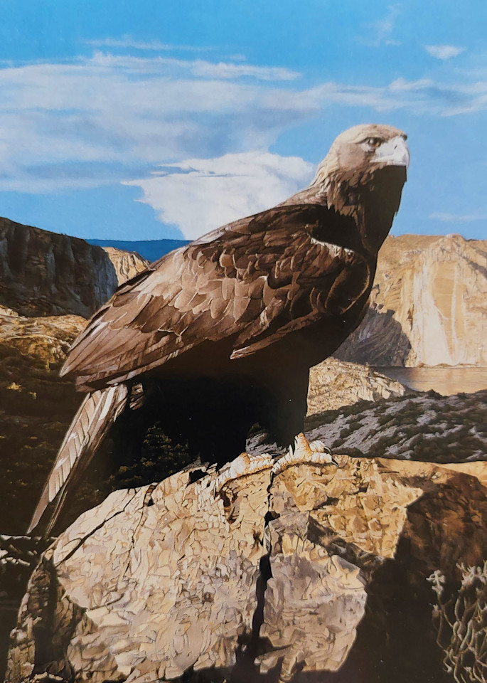 The Lookout   Golden Eagle At Canyon Lake Art | Russ Cannizzaro Fine Arts