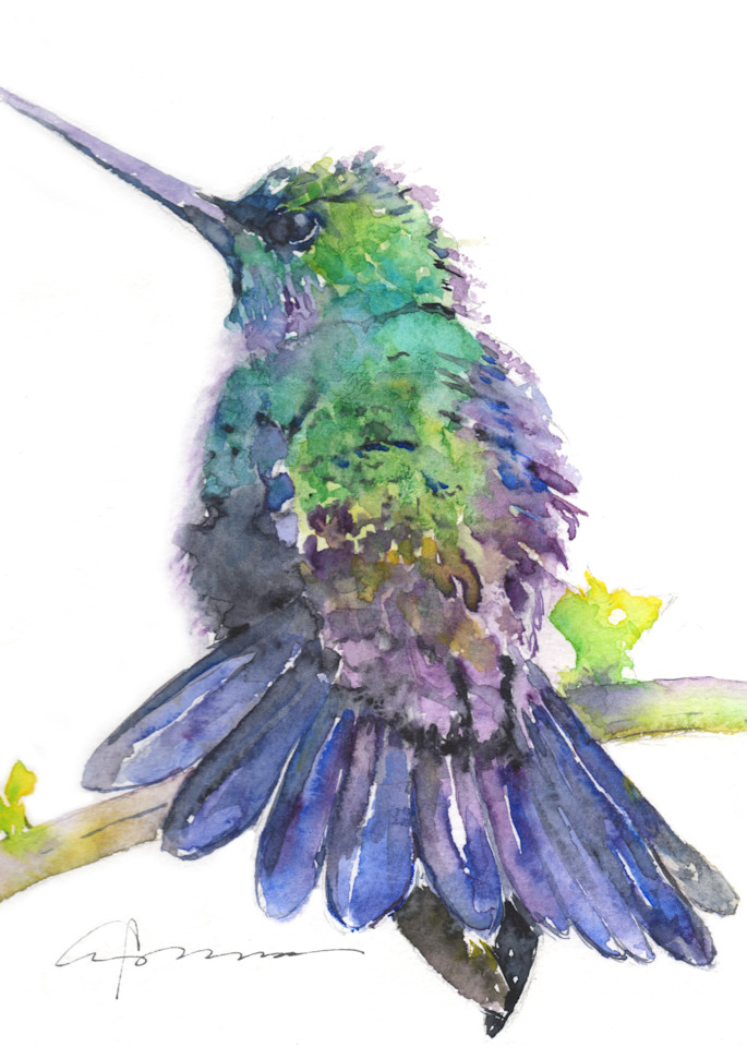 Hummingbird in Purple Watercolor Print | Claudia Hafner Watercolor
