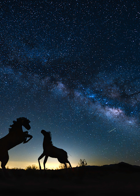 Milky Way Raises Over Borrego Springs Photography Art | zoeimagery.XYZ