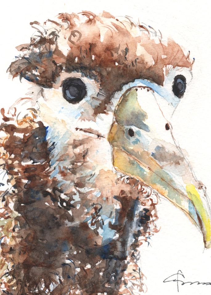 Albatross Chick Watercolor Print | Claudia Hafner Watercolor
