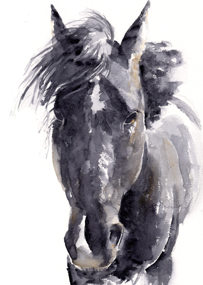 Black Horse Watercolor Print | Claudia Hafner Watercolor
