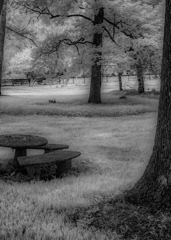 Colorless Picnic