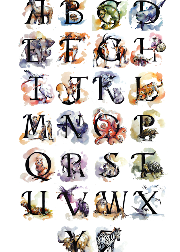 Alphabet Animal Poster Art | Meghan Taylor Art
