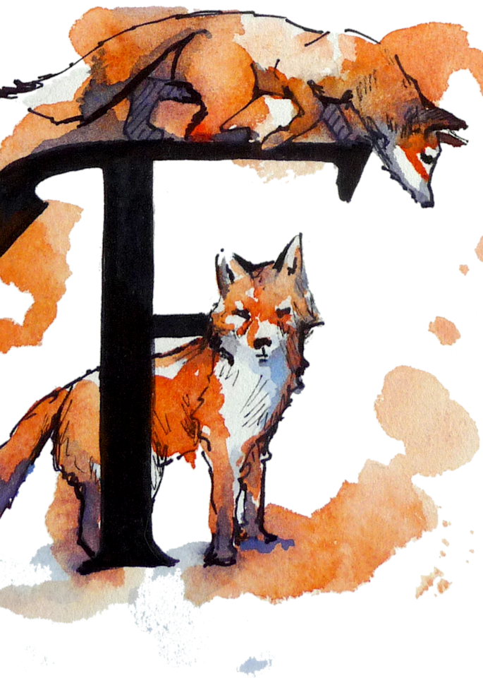 Fox Art | Meghan Taylor Art