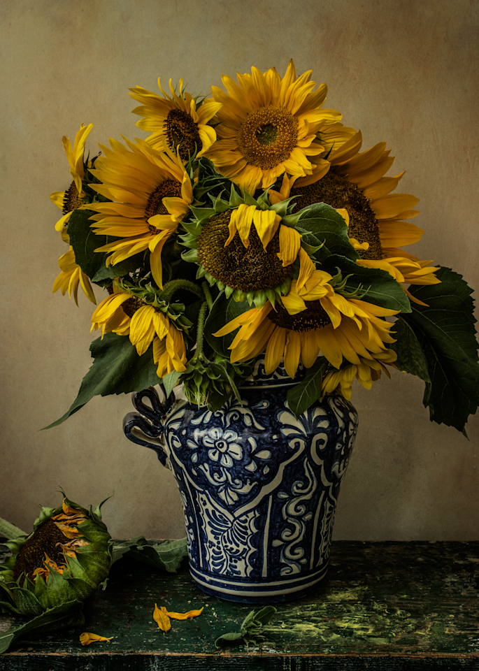 Sunflowers | No Border Photography Art | The Elliott Homestead, Inc.