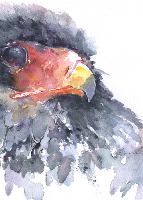 Bateleur Eagle Watercolor Print | Claudia Hafner Watercolor

