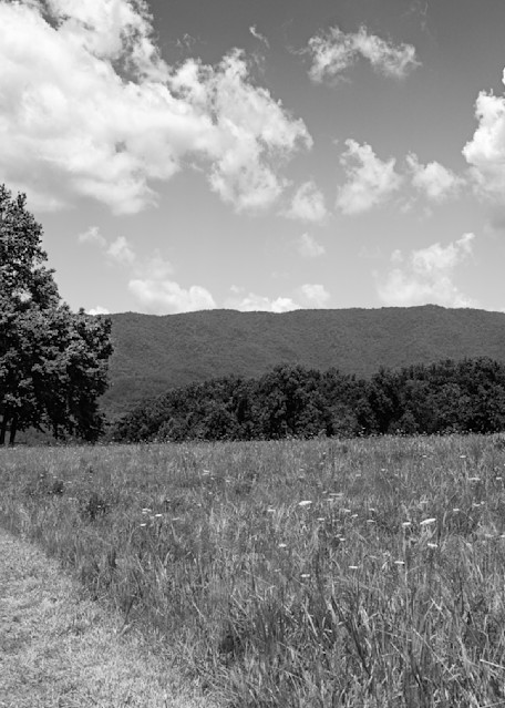 Cades Cove In The Smokies Print