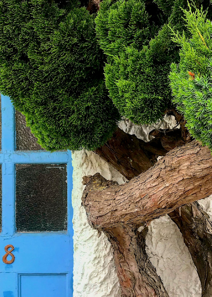 Blue Door & Tree, 2021 Photography Art | suziebiehler