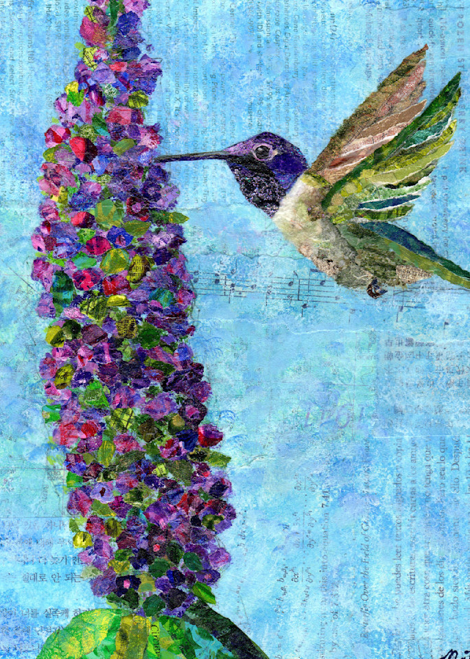 Jewels Of The Sky: Black Chinned Hummingbird Art | Poppyfish Studio
