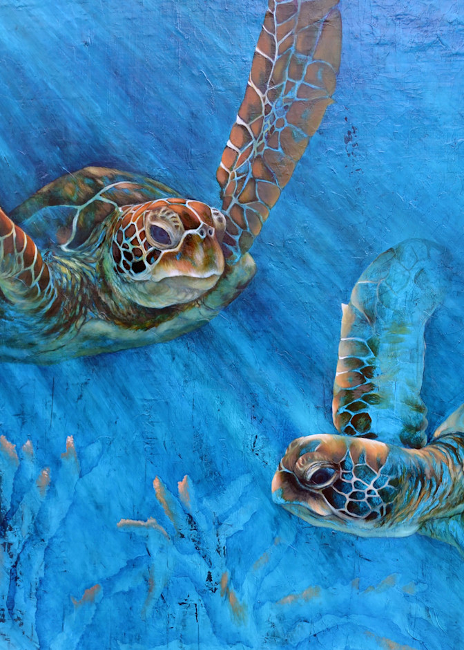 Sea Turtles  Art | Tabz Art Studio, LLC