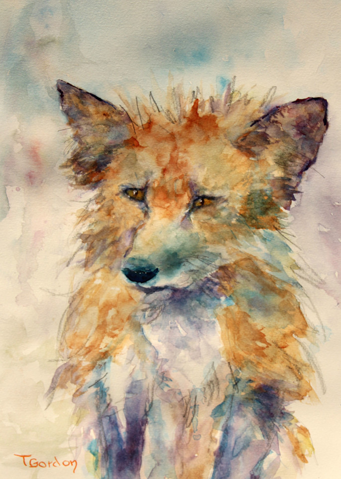 San Juan Fox Art | Terri Gordon Art