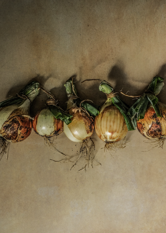 Victorian Vegetables: Walla Walla Onion  Photography Art | The Elliott Homestead, Inc.