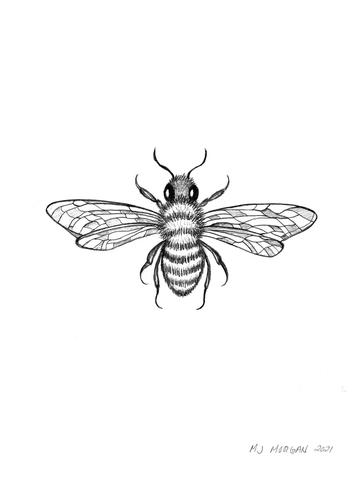 Bee Art | Morgan Trading Company