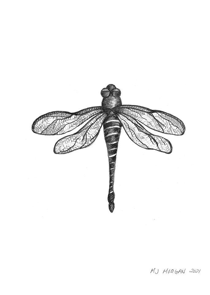 Dragonfly Art | Morgan Trading Company
