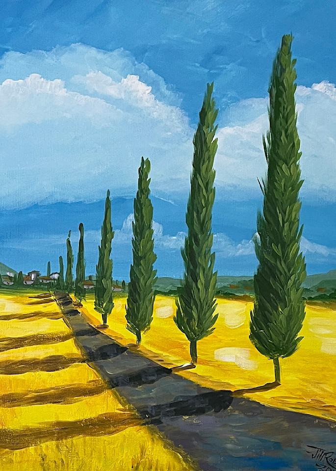 Cypress trees stand guard in Tuscan wine country