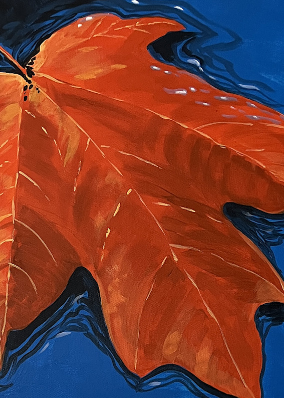 Orange maple leaf floats on blue water