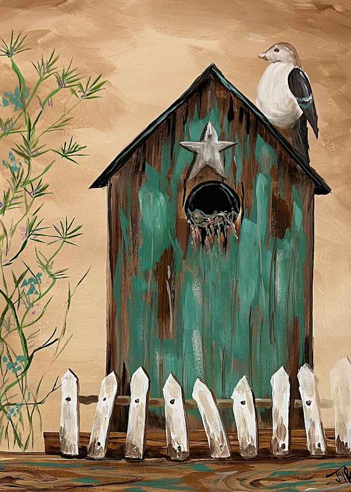Western Star Birdhouse Art | Jill Roberts
