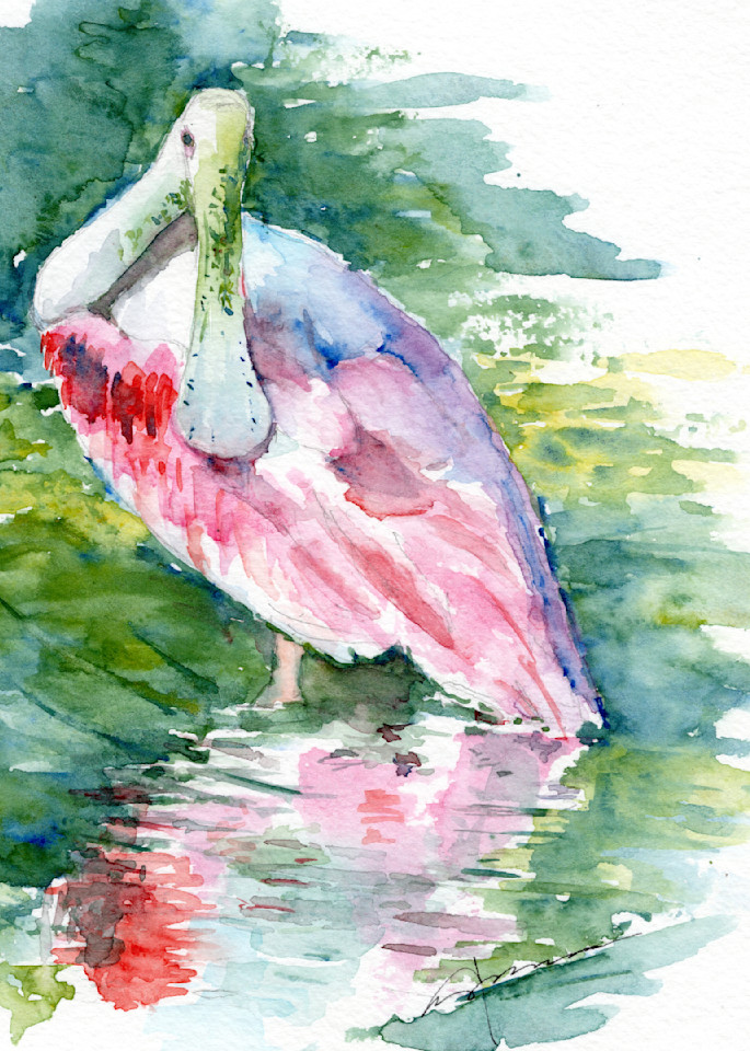 Roseate Spoonbill Watercolor Print | Claudia Hafner Watercolor
