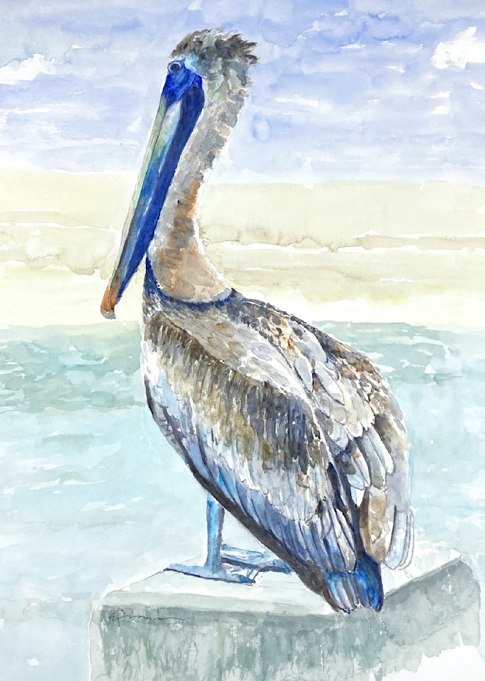 Pelican Pose 6 Watercolor Print | Claudia Hafner Watercolor