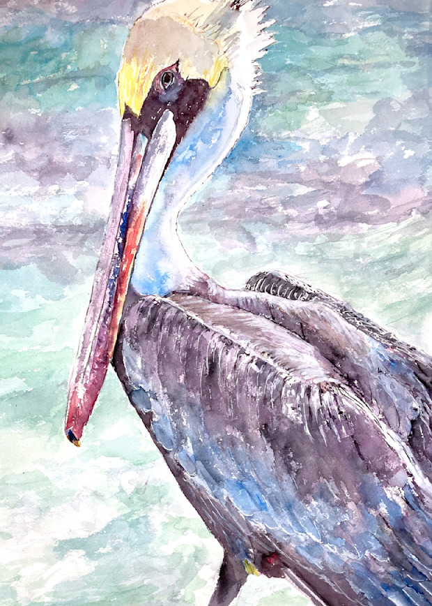 Pelican Post 5 Watercolor Painting