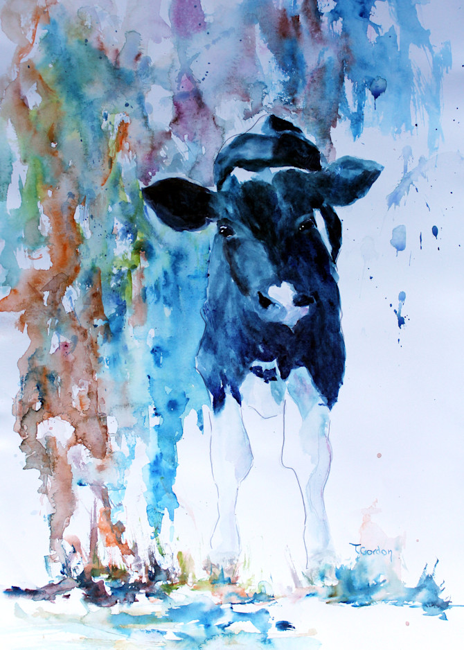 Calf  Art | Terri Gordon Art