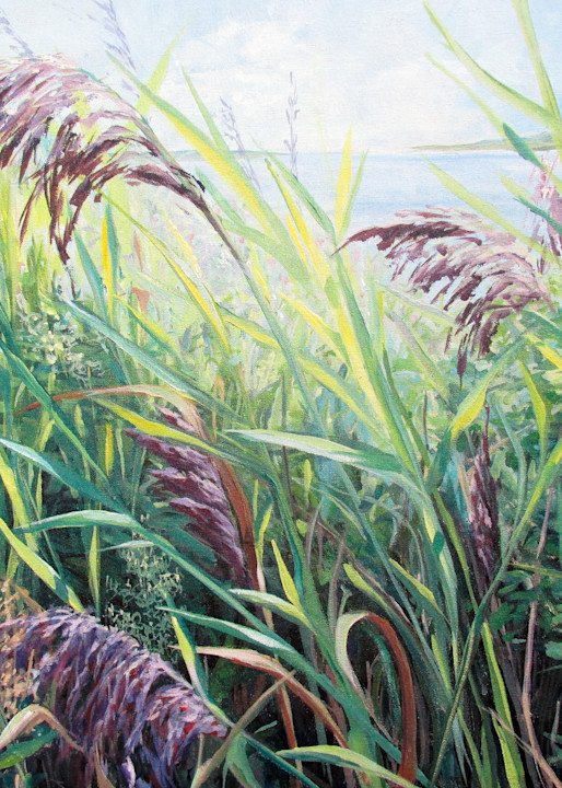 Beach Grass Art | https://www.pajaritaflora.com/