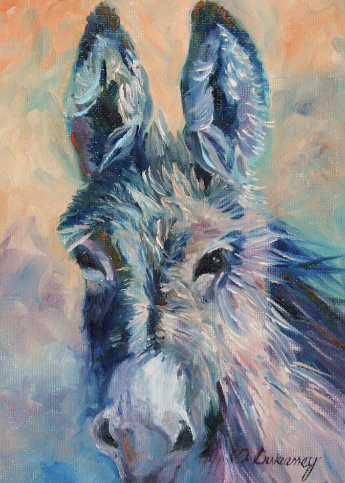 Lil Donkey Art | Teri Sweeney Art