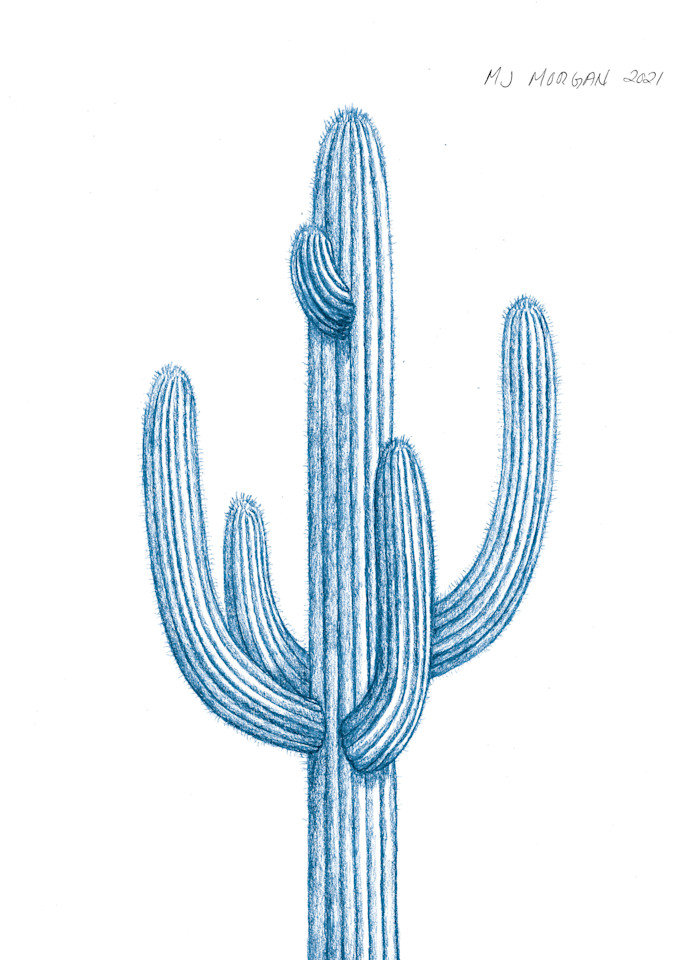 Saguaro Blue Art | Morgan Trading Company